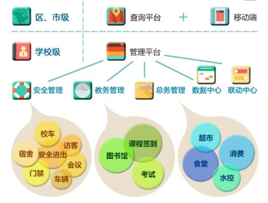 白姐全年正版王中王