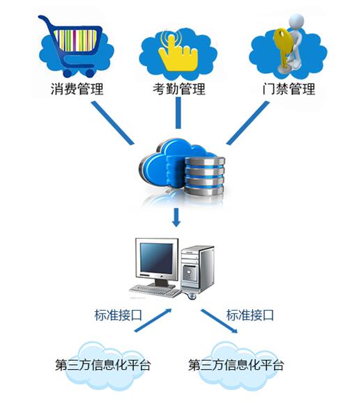 白姐全年正版王中王