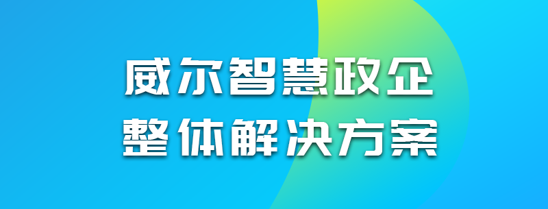 白姐全年正版王中王